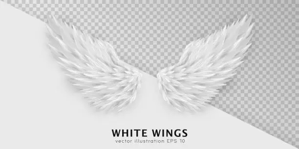 Vector illustration of Realistic white angel wings on transparent background