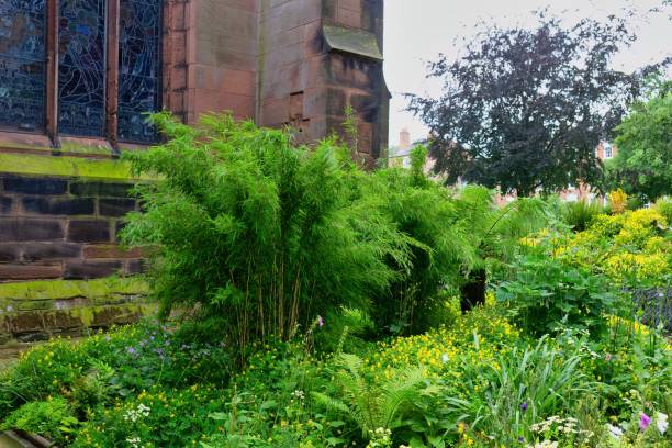 정원에 있는 올드 체스터 대성당 - chester england church cathedral tower 뉴스 사진 이미지