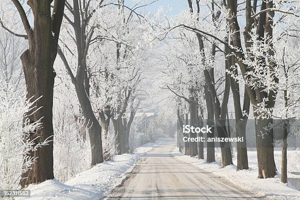 Estrada De País De Inverno - Fotografias de stock e mais imagens de Amanhecer - Amanhecer, Ao Ar Livre, Avenida