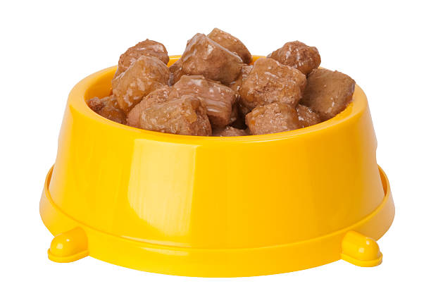 istock Dog food 152311637