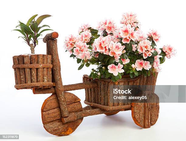 Flowerpot Originale - Fotografie stock e altre immagini di Azalea - Azalea, Bellezza naturale, Bicicletta