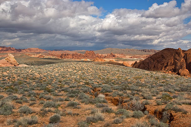 istock Sage Brush and Red Sandstone Desert Under Dramatic Clouds 152312112