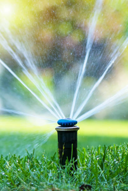 istock Irrigation system in home garden. Automatic lawn sprinkler watering green grass. Selective focus. 1523132653