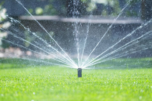 istock Irrigation system in home garden. Automatic lawn sprinkler watering green grass. Selective focus. 1523133706