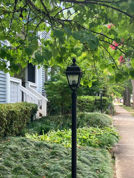 istock Dilworth Street View 1523137857