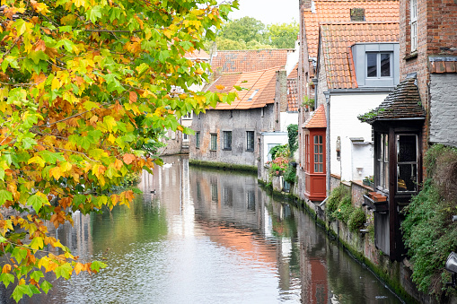 A canal in Bruges, Belgium during autumn.