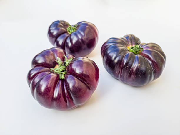 Blue beef tomato on a white background. Fresh purple tomato, isolated on white background, with clipping path