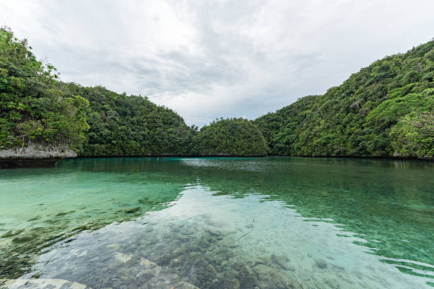 clear crystal water in koror, palau. with green island in background. landscape - micronesia lagoon palau aerial view imagens e fotografias de stock