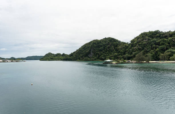 long island en koror. palau. paisaje y océano. - micronesia lagoon palau aerial view fotografías e imágenes de stock