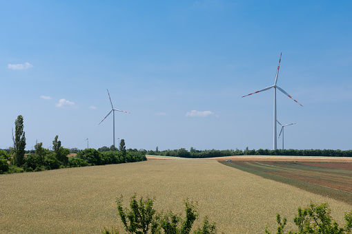 Open landscape with windmill. In the middle of grain fields, electric power lines next to them.
