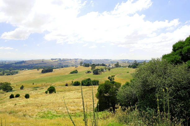 istock Kurumburra,  Victoria,  Australia 1523468105