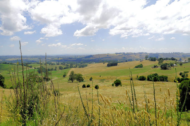 istock Kurumburra,  Victoria,  Australia 1523475160