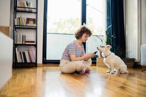 istock Woman uses a smartphone 1523628091