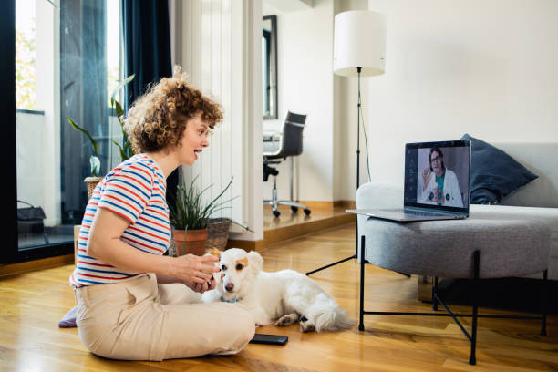 Young woman talking online with her doctor Happy young woman having an online meeting with her doctor insurance pets dog doctor stock pictures, royalty-free photos & images