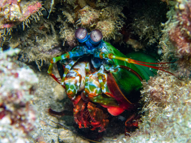 istock Color Palette Under the Sea 1523892108