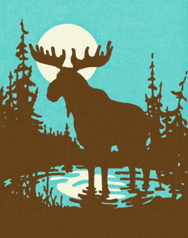 Silhouette of a Moose