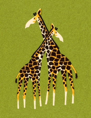 Two Giraffes