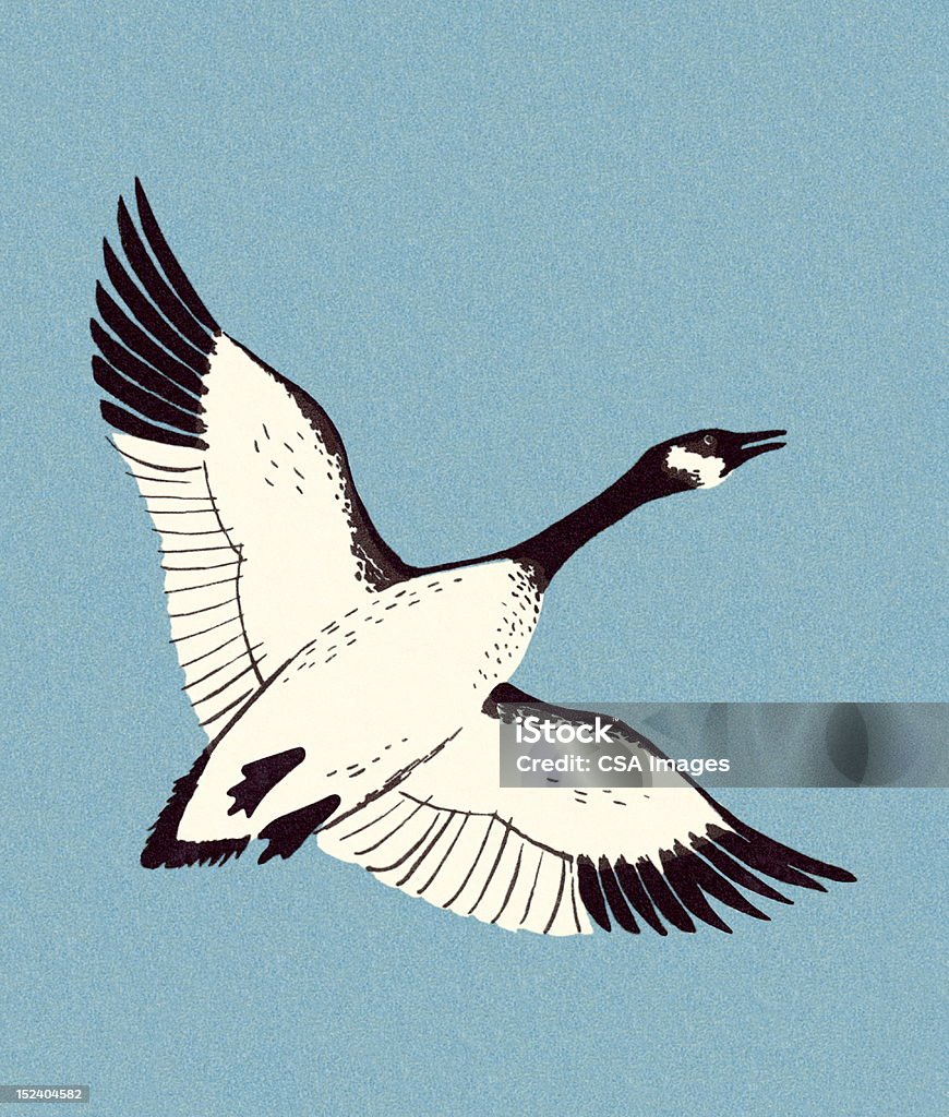 Canadian Goose Flying Goose - Bird stock illustration