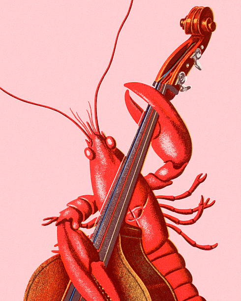 ilustraciones, imágenes clip art, dibujos animados e iconos de stock de langosta jugando un contrabajo - lobster