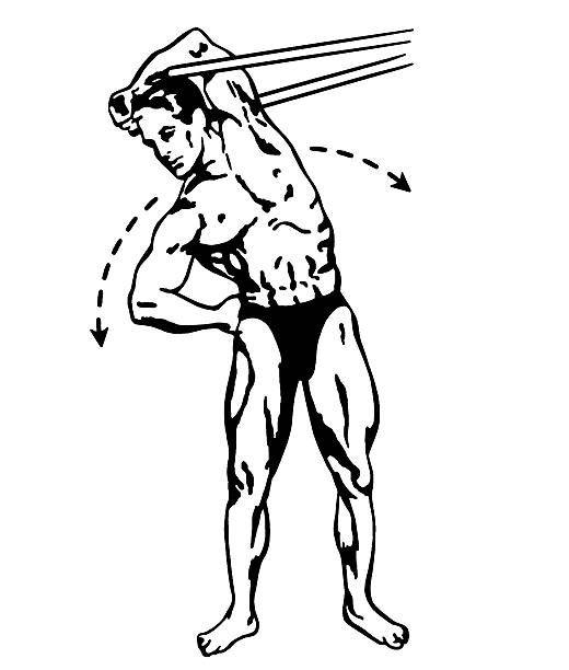 człowiek ćwiczyć - muscular build white background men shirtless stock illustrations