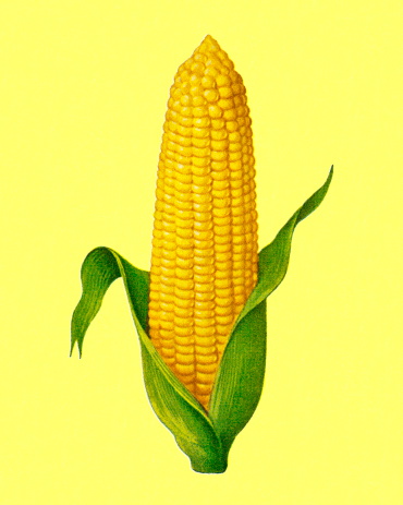 Corn