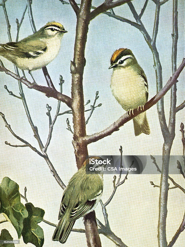 Trzy ptaków w drzewo - Zbiór ilustracji royalty-free (Powrót do retro)