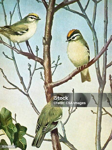 Три Птицы На Дерево — стоковая векторная графика и другие изображения на тему Птица - Птица, Стиль ретро, Без людей