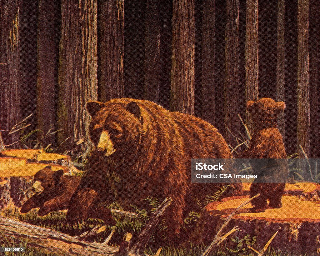 Three Bears Bear stock illustration
