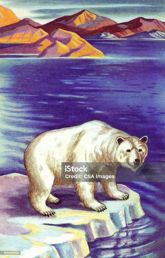 북극곰 - 로열티 프리 곰 스톡 일러스트