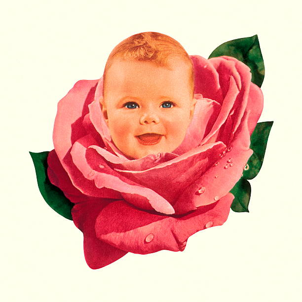 Baby in Pink Rose Baby in Pink Rose Babies Only stock illustrations