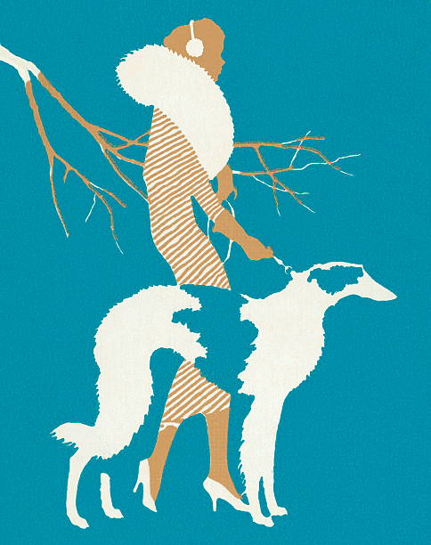 ilustraciones, imágenes clip art, dibujos animados e iconos de stock de mujer con perro borzoi - pampered pets audio