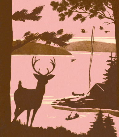 Deer Silhouette Near Lake
