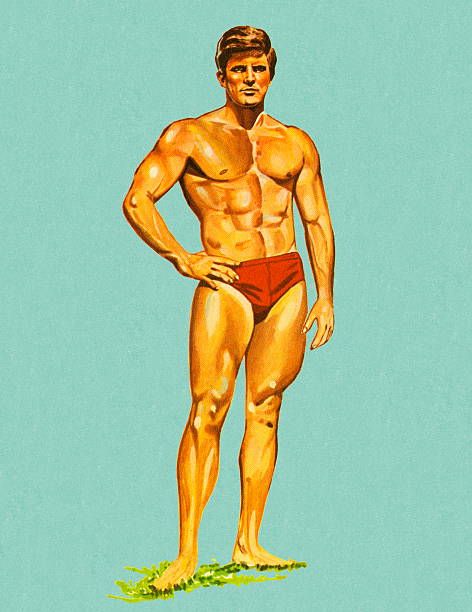 ilustraciones, imágenes clip art, dibujos animados e iconos de stock de muscular man in nade trunks - sex symbol illustrations