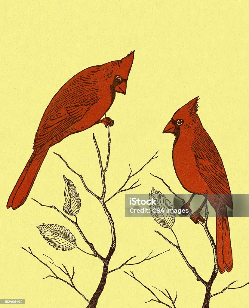 Dos pájaros Cardinal - Ilustración de stock de Pájaro cardenal libre de derechos