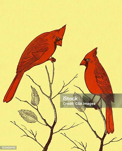 Ilustración de Dos Pájaros Cardinal y más Vectores Libres de Derechos de Pájaro cardenal - Pájaro cardenal, Ilustración, Aire libre