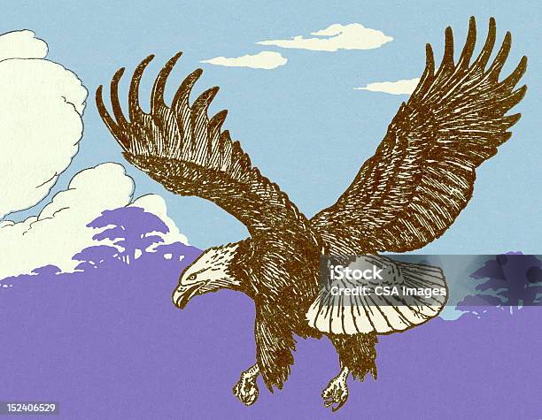 Ilustración de Eagle y más Vectores Libres de Derechos de Águila - Águila, Volar, Aire libre