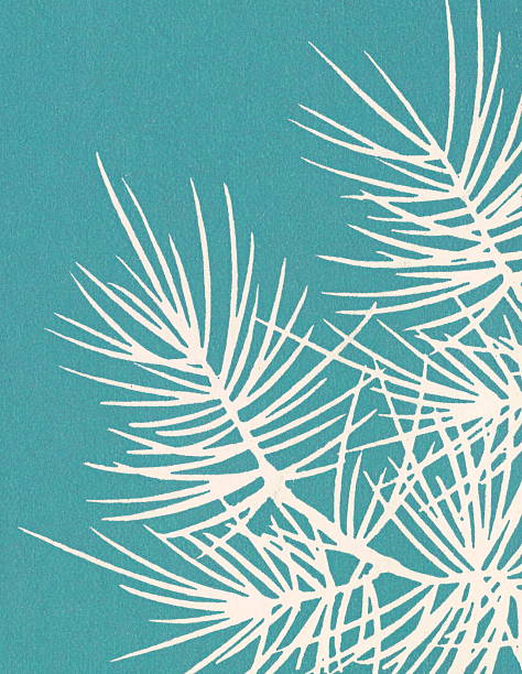 パインツリーの枝 - color image colored background tree branch点のイラスト素材／クリップアート素材／マンガ素材／アイコン素材