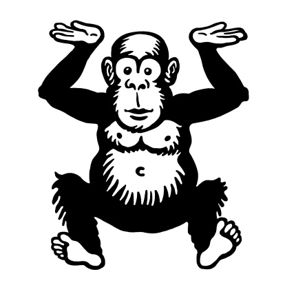 Monkey Gesturing