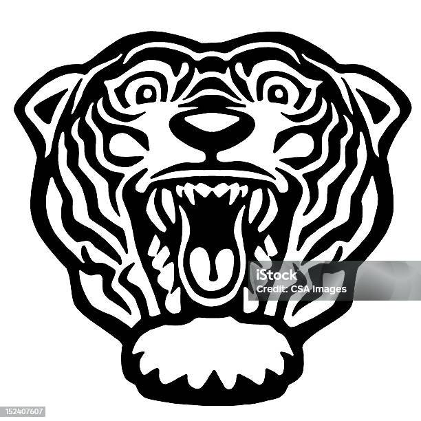 Рычащего Тигра — стоковая векторная графика и другие изображения на тему Тигр - Тигр, Чёрно-белый, Агрессия