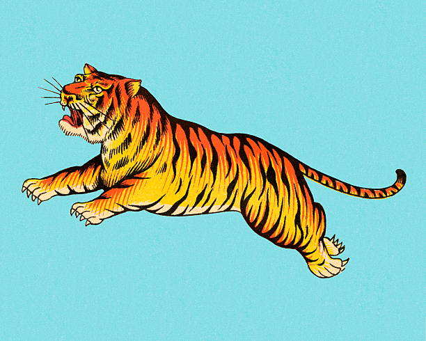 прыгающего тигра - color image colored background blue background animal stock illustrations
