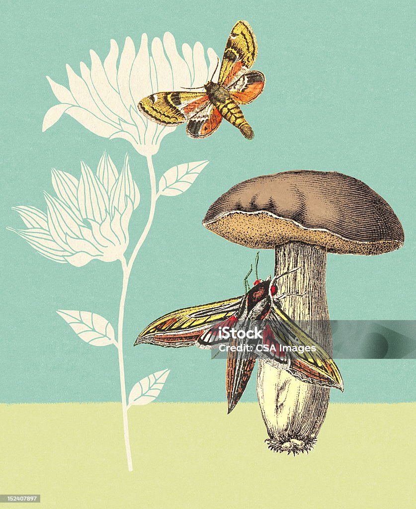 Moths Pilzen und Blumen - Lizenzfrei Motte Stock-Illustration