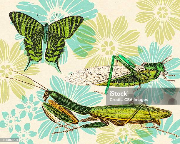 Insectes Et Motif Floral Vecteurs libres de droits et plus d'images vectorielles de Criquet migrateur - Criquet migrateur, Fleur - Flore, Aile d'animal