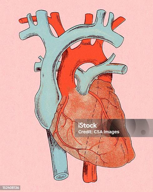 心臓の図 - レトロ調のベクターアート素材や画像を多数ご用意 - レトロ調, ヘルスケアと医療, 図表