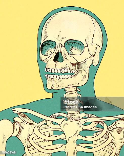 Closeup Of Human Skeleton Stock Illustration - Download Image Now - Anatomy, Blue, Body Part