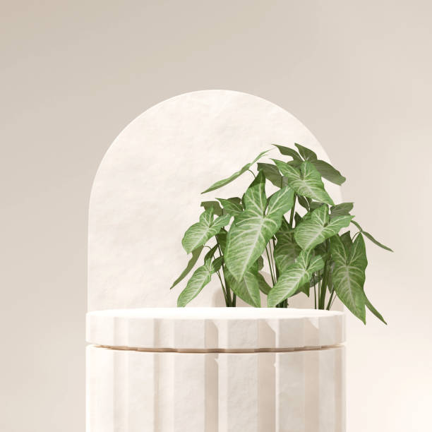 istock in square green leaf plant and arch backdrop, 3d rendering empty scene rough pillar white podium 1524083880