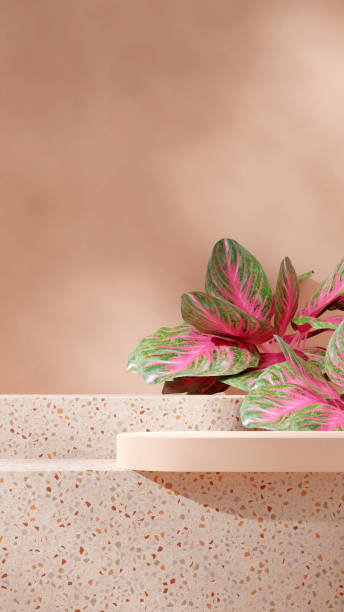 istock 3d render image scene mockup red brown terrazzo material podium in portrait red aglaonema plant 1524084925