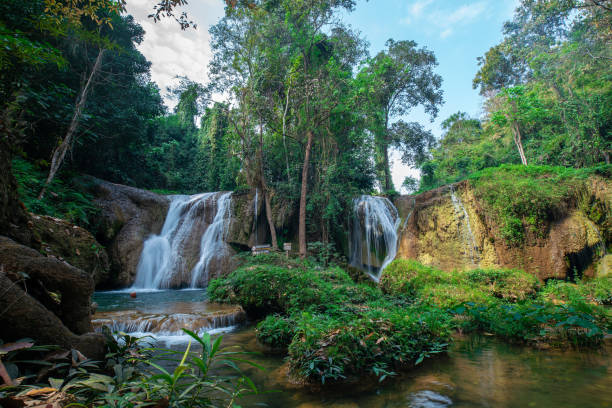 istock Serenity waterfall in tropical rain foerst mountain nature lands 1524137987