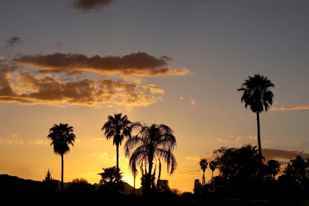 istock Sunset Over Tucson, Arizona 1524147291