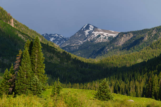 istock Scenic Mountain View in Summer with Lush Meadow 1524163129