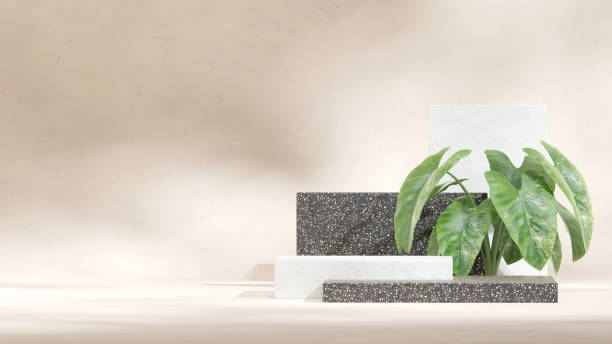 istock green alocasia plant backdrop, 3d render empty mockup black terrazzo podium in landscape 1524203491